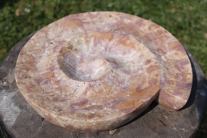 Dekoschale &quot;Schnecke&quot;